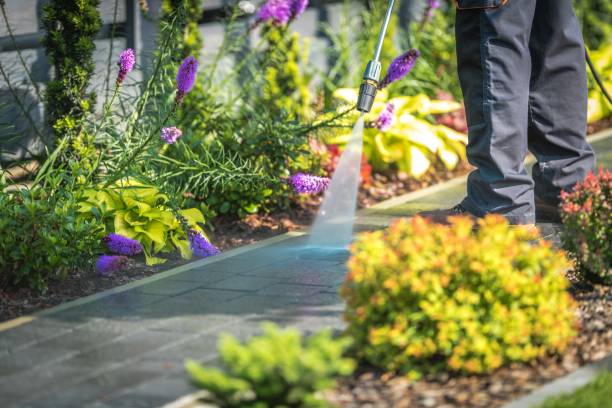 Trusted Maria Stein, OH Pressure Washing Services Experts